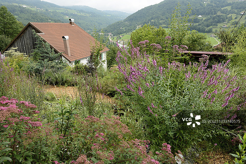 法国孚日省的房屋、花园和物品图片素材