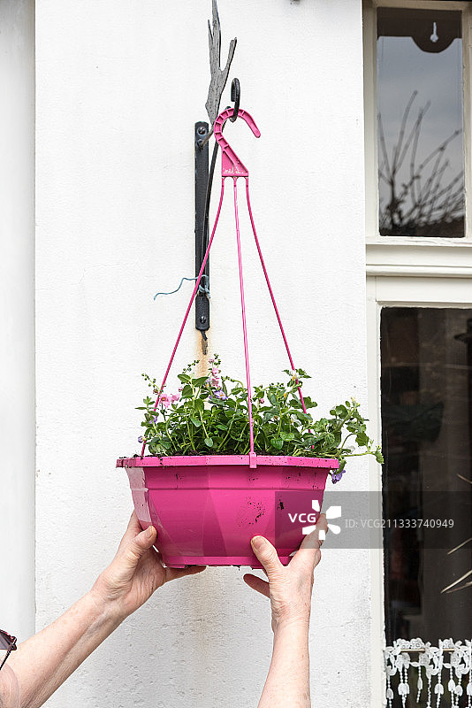 在花园里制作悬挂式花篮图片素材