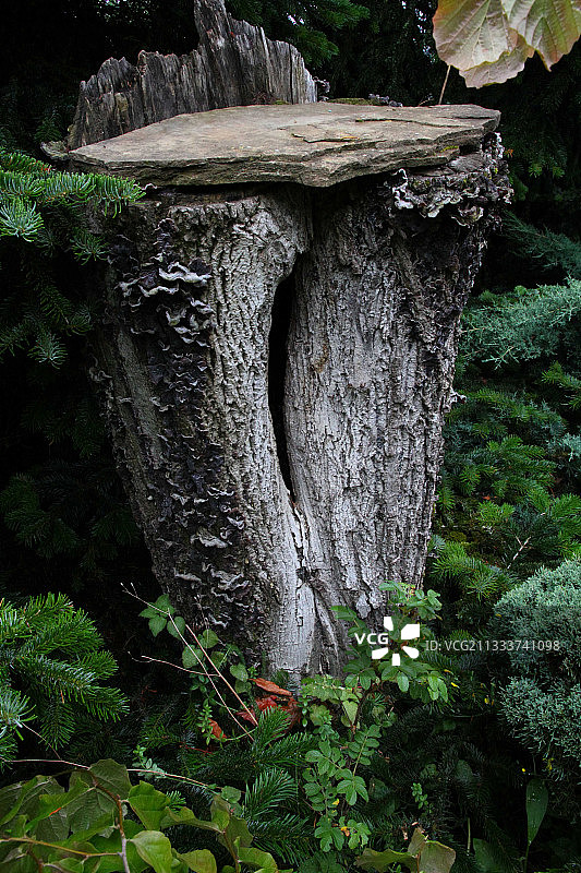 花园生物多样性布局 - 法国图片素材