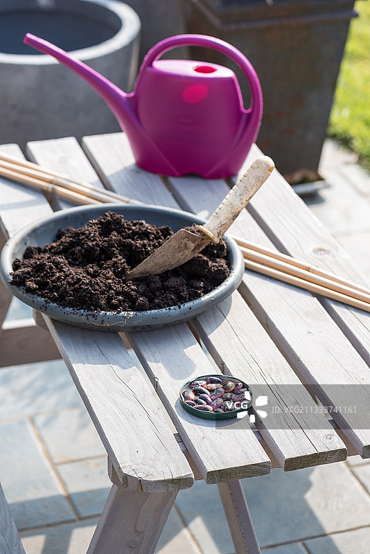 小女孩在花园里播种图片素材