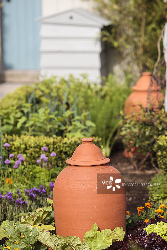 花园里的钟形罩图片素材