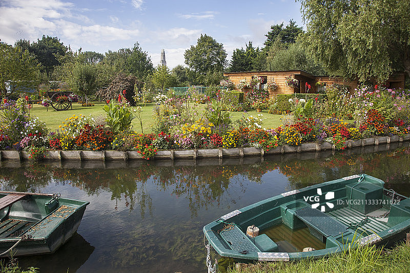 马鞭草、美人蕉、万寿菊等花卉图片素材