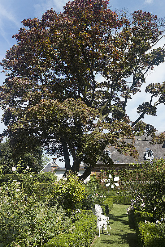 天使花园图片素材
