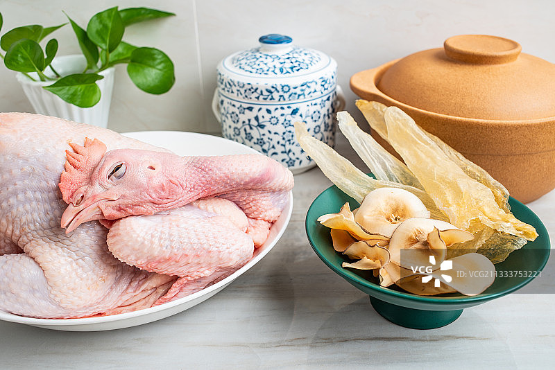 中国滋补养生汤食材搭配，新鲜母鸡和花胶响螺片图片素材