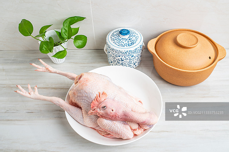 厨房瓷砖台面上煲汤的砂锅炖盅和一只新鲜母鸡图片素材