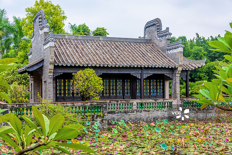中国广东东莞粤晖园浴荷池图片素材