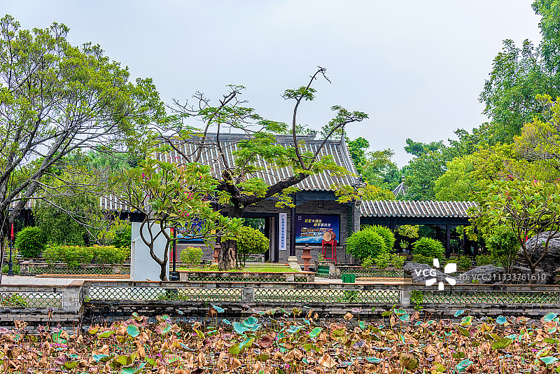 中国广东东莞粤晖园浴荷池图片素材