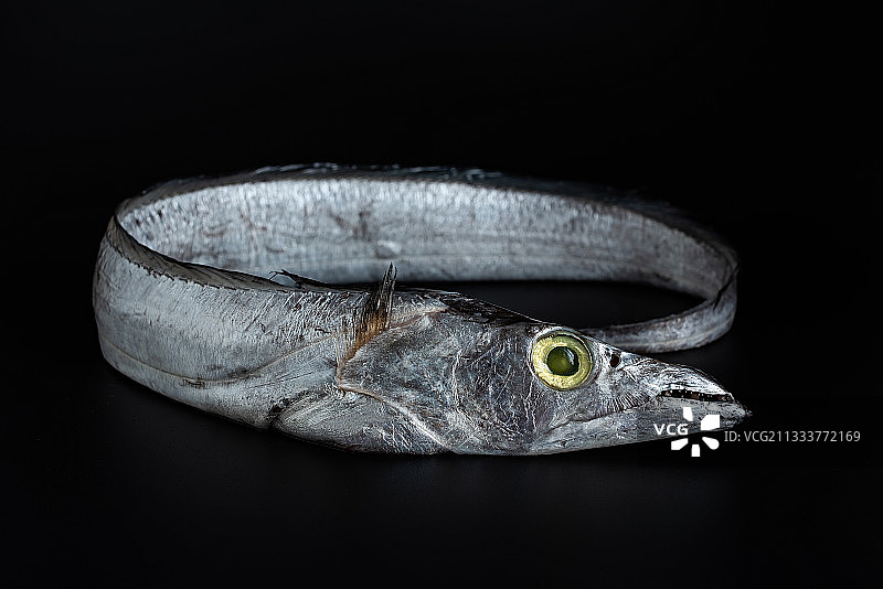 黑色背景上一条新鲜的带鱼图片素材