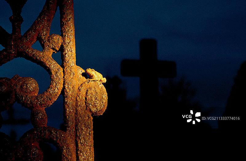墓地门上的蟾蜍图片素材