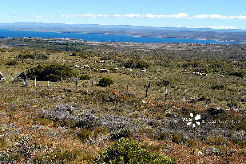 阿根廷巴塔哥尼亚潘帕斯草原风光图片素材