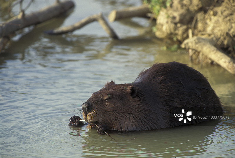 木屋建筑图片素材