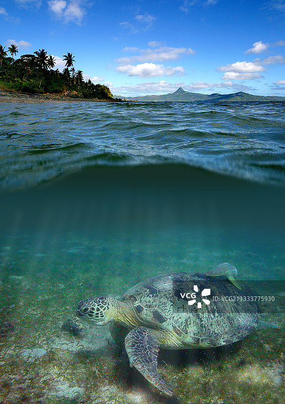 七月的萨达海滩图片素材