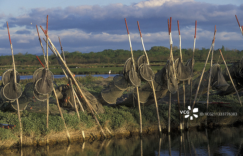 莫吉奥图片素材