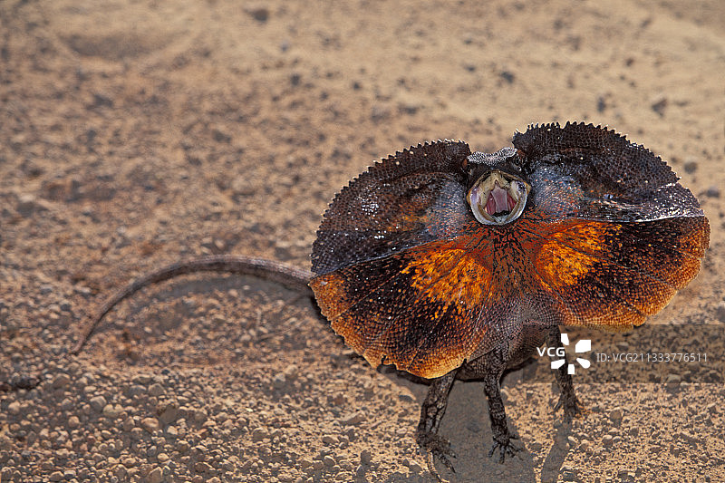 金伯利地区图片素材