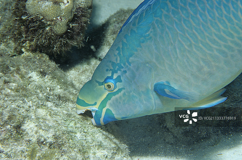 处于最后阶段的男人图片素材