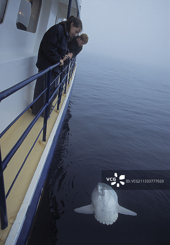 狮子湾图片素材