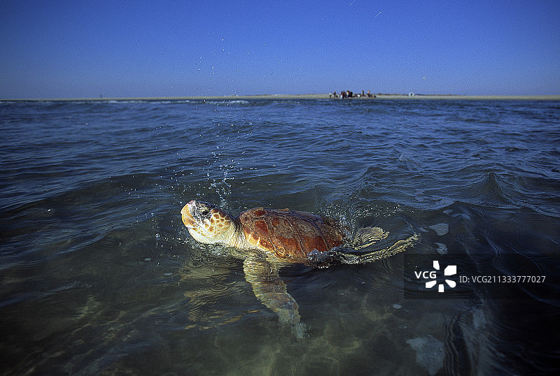 狮子湾图片素材