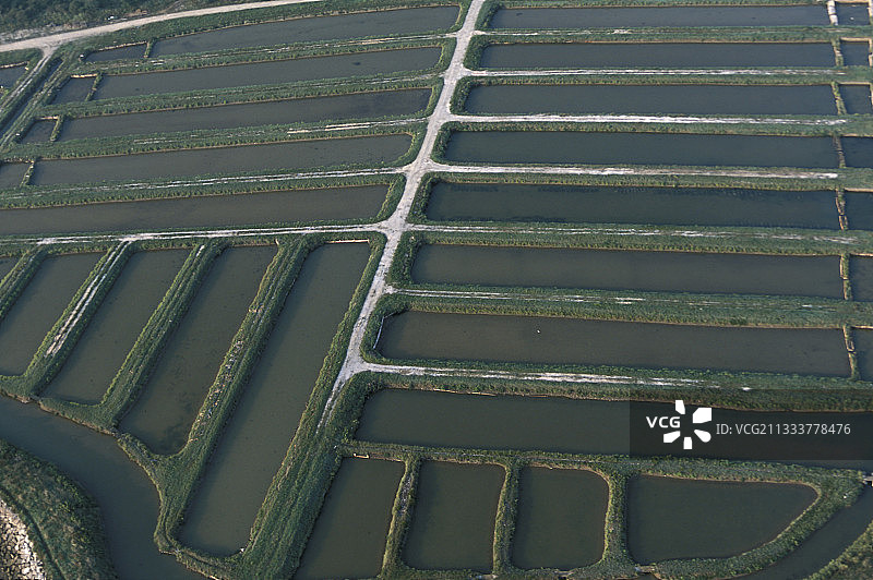 法国奥莱龙岛牡蛎中心航拍图片素材