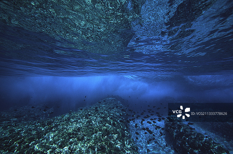 法属波利尼西亚图阿莫图水下波浪景观图片素材