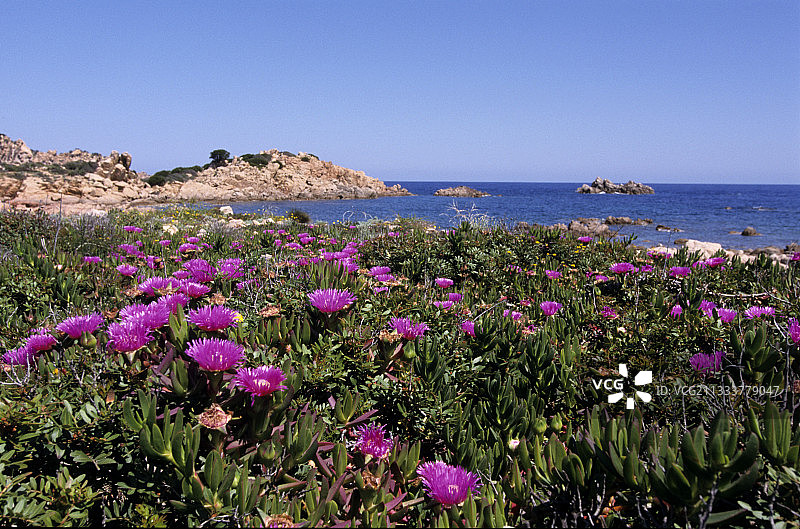 撒丁岛北海岸图片素材