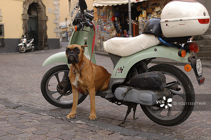 拳击手和Vespa Sorente摩托车图片素材