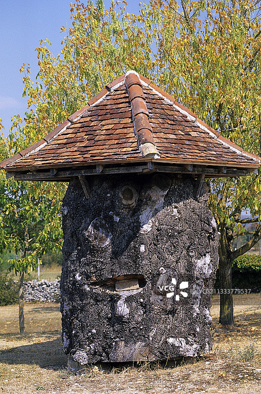 多尔多涅河谷的栗树图片素材