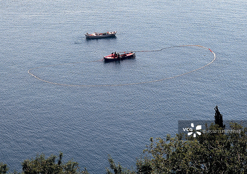 土耳其阿拉尼亚地中海沿岸的鱼图片素材
