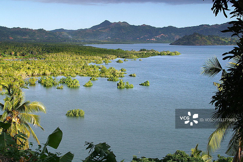 马约特岛红树林高潮图片素材