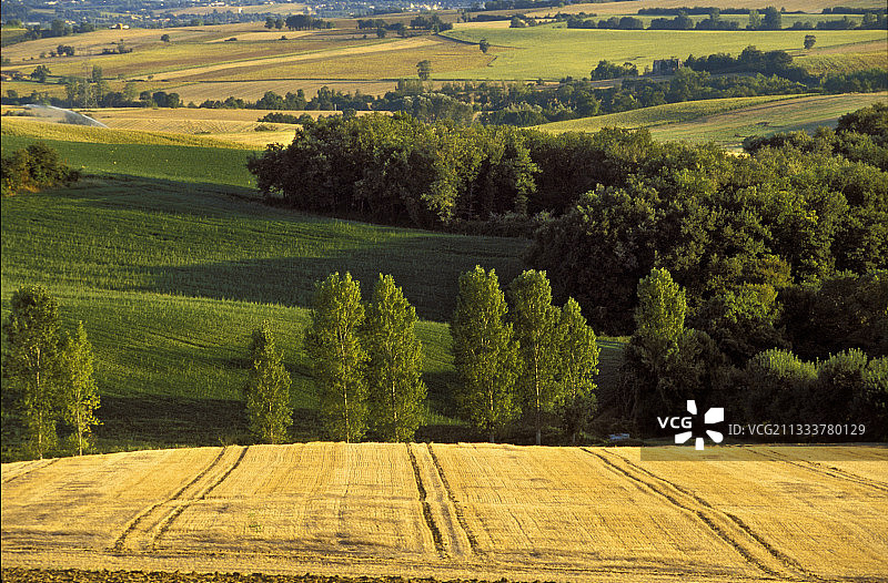空客A380的未来之路图片素材
