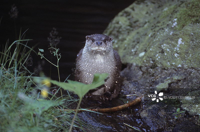 面对离去的水面图片素材