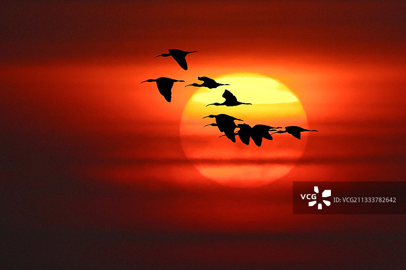 装配工作室图片素材