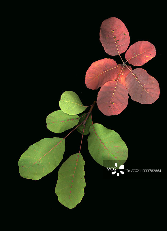 工作室[AT]图片素材