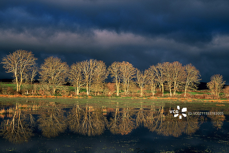 法国奥弗涅暴风雨光线下树木的倒影图片素材