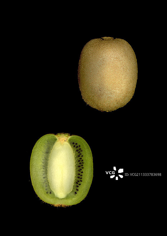 猕猴桃切面图片素材