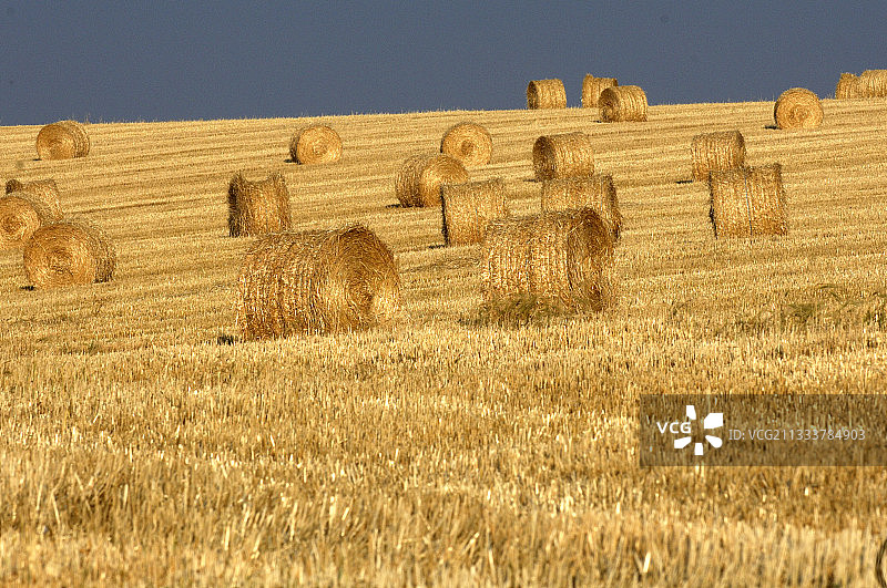 勃艮第田野里的稻草堆图片素材