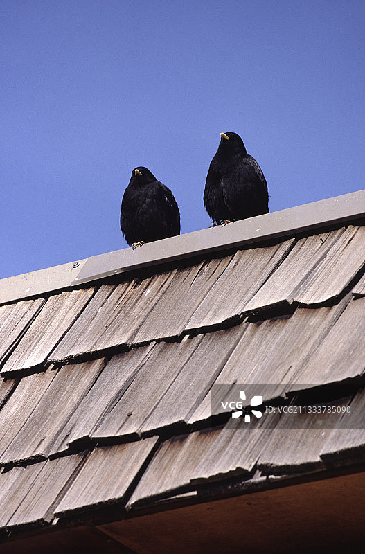 在奥尔西埃梅莱特的冬季运动胜地图片素材