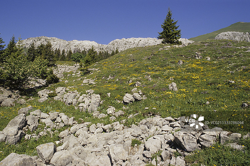 法国阿尔卑斯山阿拉维斯山脉风光图片素材