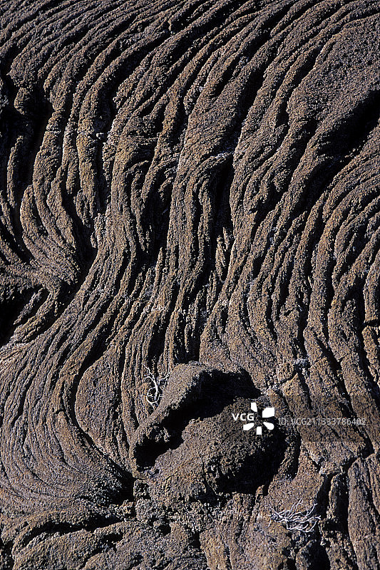 植物在富尔奈斯火山熔岩流上生长图片素材