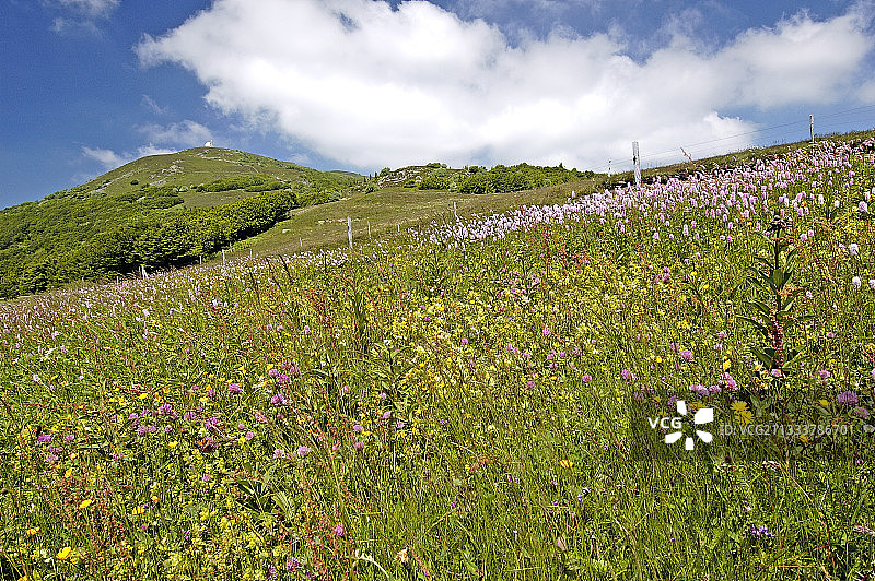孚日山脉六月农田地貌图片素材