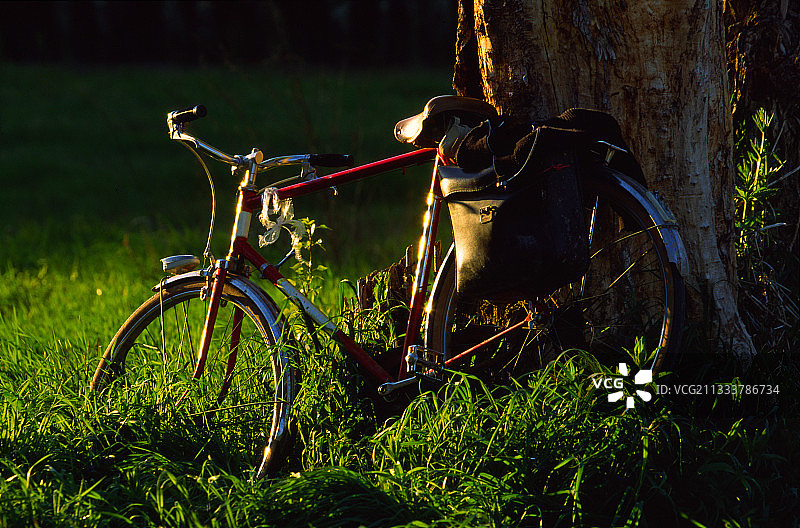 乡村树旁的自行车图片素材