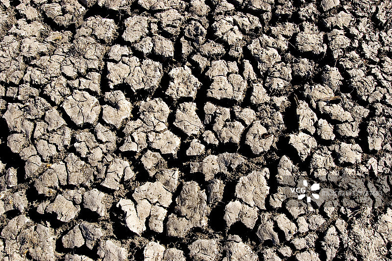 博茨瓦纳莫雷米国家公园旱季干涸土壤图片素材