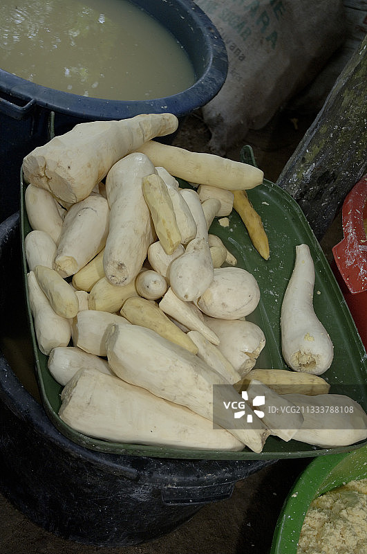 用于制备“夸克”的木薯块茎图片素材