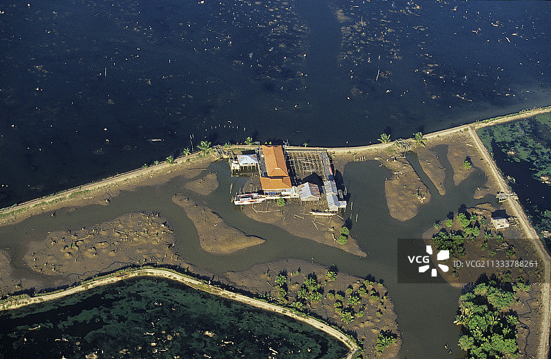 马哈akam三角洲80%的区域因虾养殖场被毁图片素材