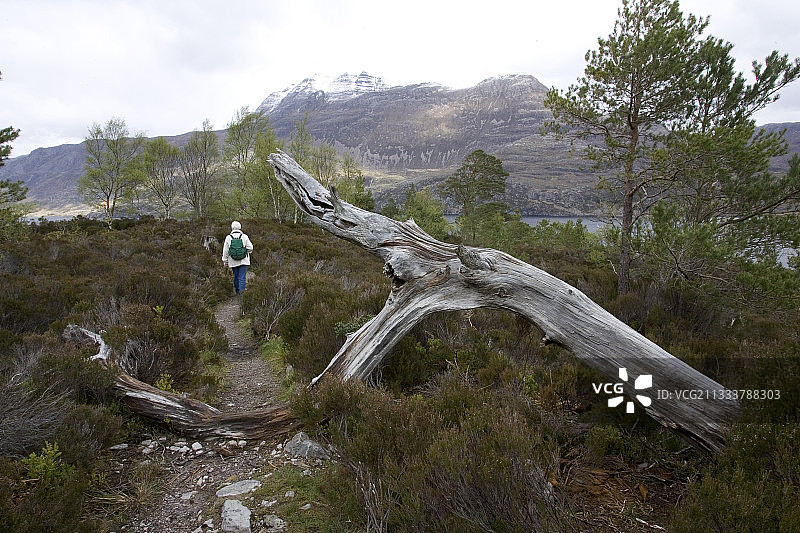 在苏格兰贝恩埃伊格自然保护区登山图片素材