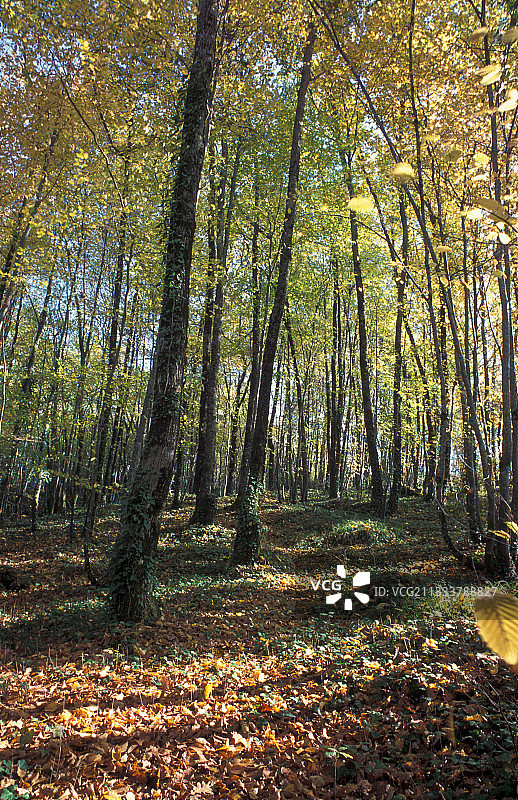 法国洛特省沙尔迈与皮伊莱韦克图片素材