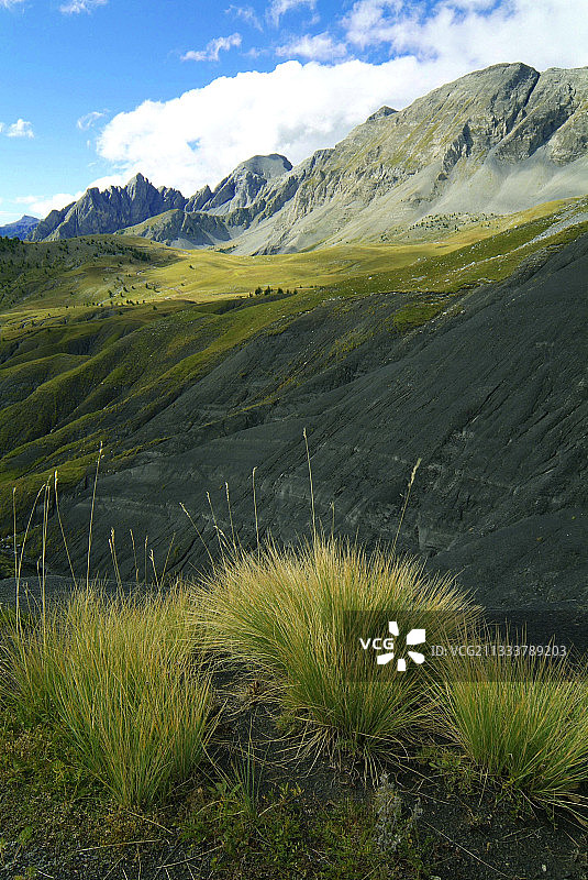 法国梅康图尔国家公园夏季田野图片素材