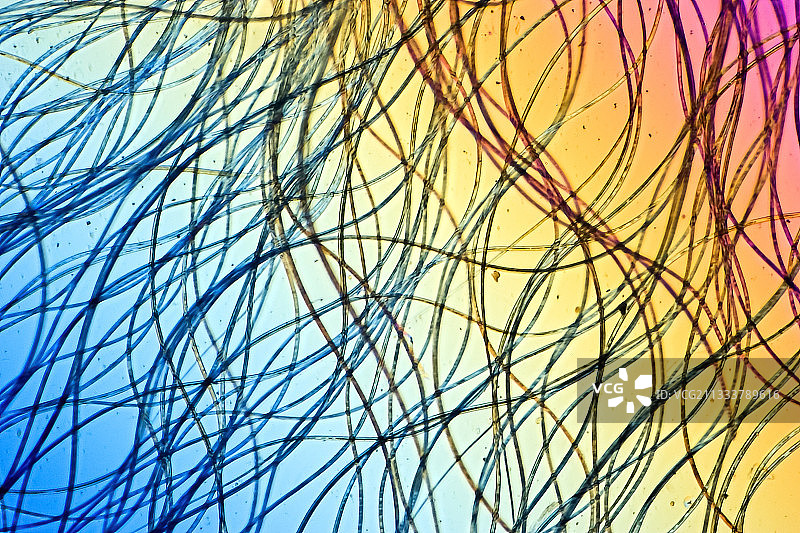 偏振光照明，带贝瑞克补偿器，放大倍数X 50图片素材