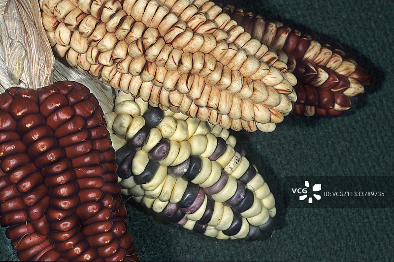 各种墨西哥玉米图片素材