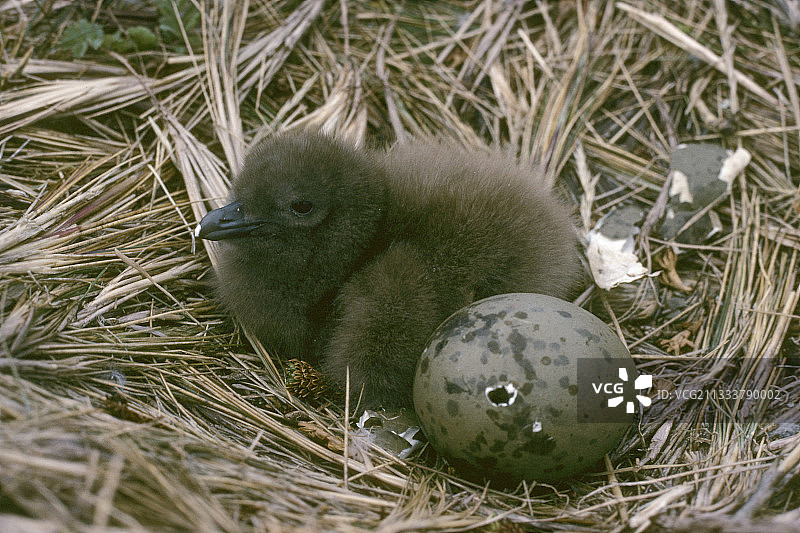 Rallier du Baty半岛沙谷遗址图片素材