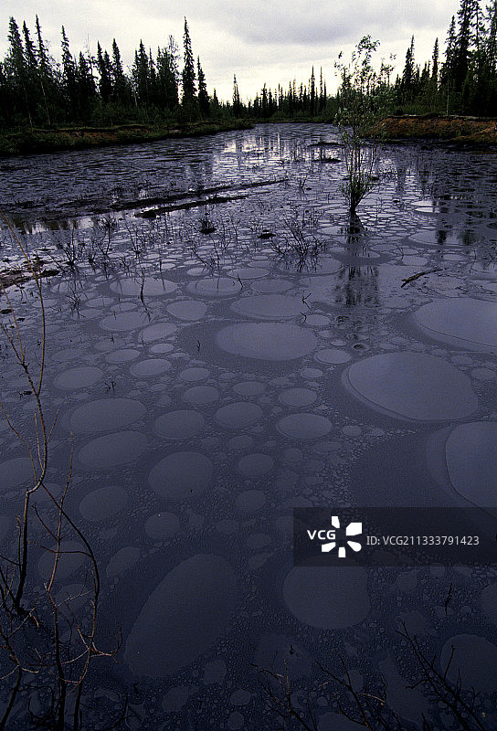 雨水让油污表面泛起涟漪图片素材
